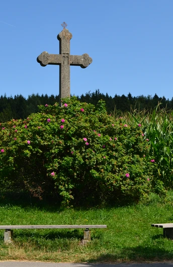 Lehrpfad Lindenberg_Sulzer Kreuz.JPG