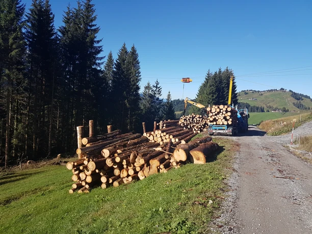 Waldgenossenschaft oberes Entlebuch