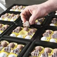 Des pralines nobles, faites à la main avec amour et parfaites pour la dégustation