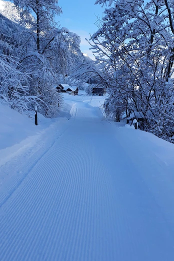 Langlaufloipe Schachen Richtung Widmen