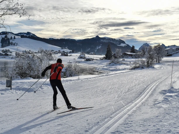 Traumhafte Loipen in der Region Einsiedeln