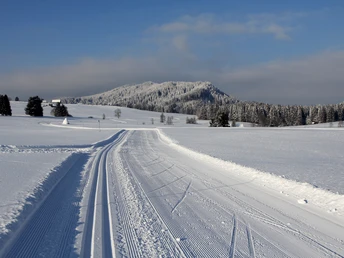 Die Loipen verlaufen unter anderem durch das traumhafte Hochmoor Schwantenau