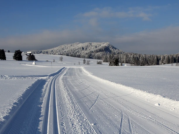 Die Loipen verlaufen unter anderem durch das traumhafte Hochmoor Schwantenau