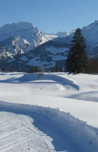 Abwechslungsreich und technisch anspruchsvolle Loipe Oberberg