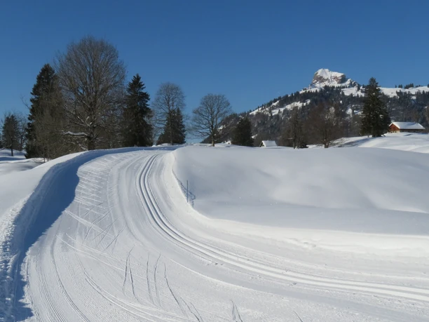 Klassisch und Skating gespurte Loipe Oberberg
