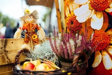 Eine Strohpuppe in farbenfroher Herbstgarderobe steht neben einem Korb voller Äpfel und Heidekraut.