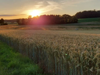 Wanderweg Ferne Horizonte