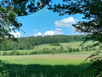 Wanderweg Ferne Horizonte