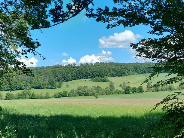 Wanderweg Ferne Horizonte