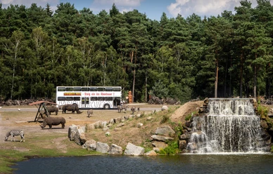 Mit dem Bus durch den Serengeti Park man kann mit dem bus durch den serengeti park auf safari gehen