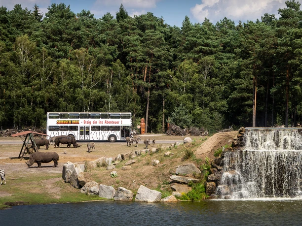 Mit dem Bus durch den Serengeti Park man kann mit dem bus durch den serengeti park auf safari gehen