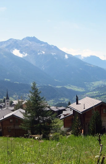 Aussicht über das Fieschertal von Bellwald Dorf