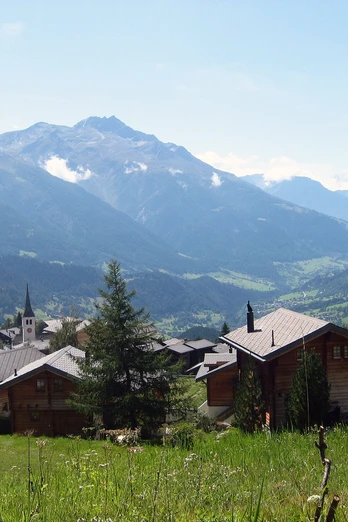 Aussicht über das Fieschertal von Bellwald Dorf