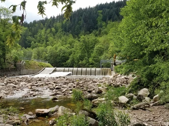 Murgwehr in Langenbrand