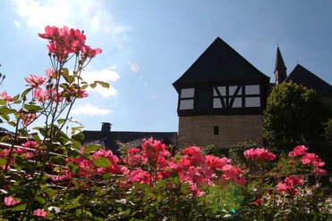 Zehntspeicher 022.JPG Rosen