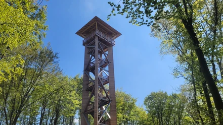Wiehenturm Holzturm mit Aussichtsplattform im Grünen; helle Sonne und umgebende Laubkronen rahmen die Ansicht.