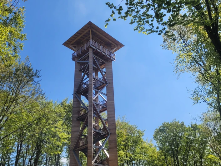 Wiehenturm Holzturm mit Aussichtsplattform im Grünen; helle Sonne und umgebende Laubkronen rahmen die Ansicht.