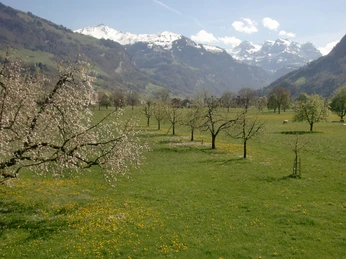 Bauernhof Waser_Stanserboden_Stans_Nidwalen