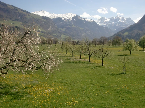 Bauernhof Waser_Stanserboden_Stans_Nidwalen
