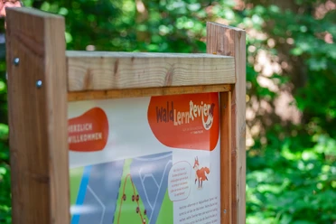 0M4A3198.jpg Holztafel mit Informationen zum Erlebnispfad Wald.Lern.Revier im grünen Waldgebiet von Lingen