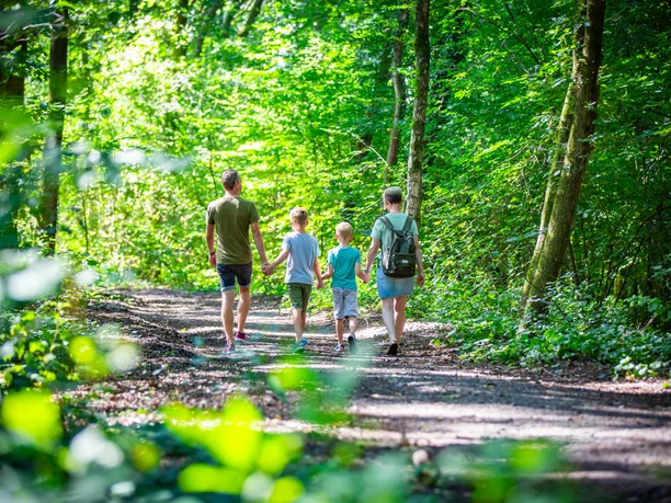 0M4A3219.jpg Familie spaziert an einem sonnigen Tag auf einem Waldweg zwischen grünen Bäumen und Lichtspielen