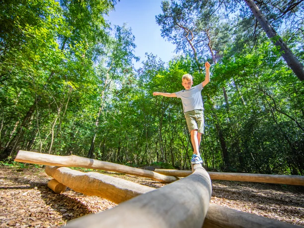 C5D_4185.jpg Ein Kind balanciert auf einem Holzstamm im Wald unter sonnigem Himmel auf dem Erlebnispfad.