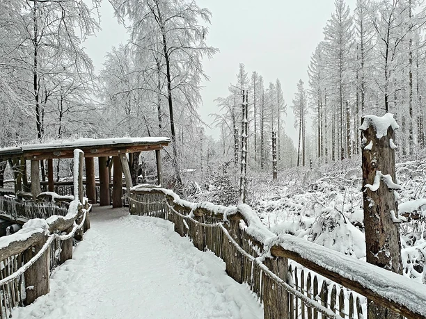 Wilder Weg im Schnee Wilder Weg im Schnee
