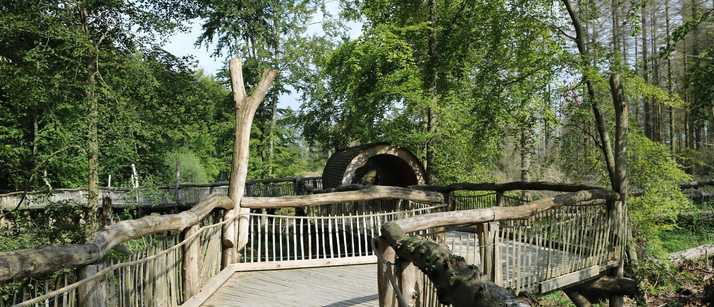 Holzsteg
