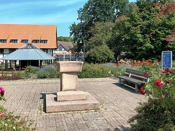 Armtauchbecken im Rosengarten Salzgitter-Bad