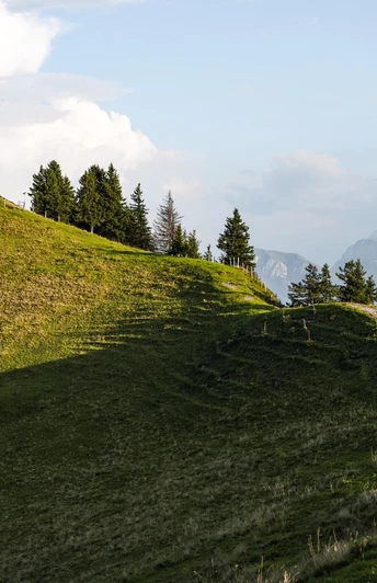 Wanderweg zum Rigi Dossen