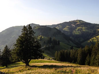 Wanderweg zum Rigi Dossen