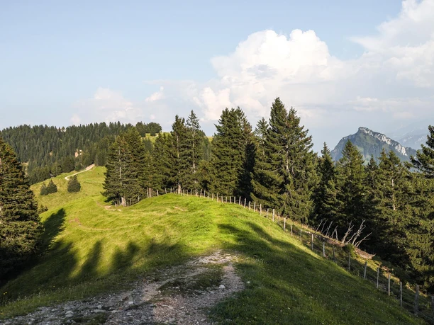 Wanderweg zum Rigi Dossen