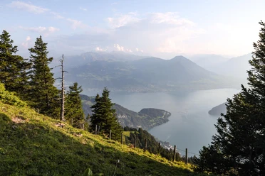 Wanderweg zum Rigi Dossen