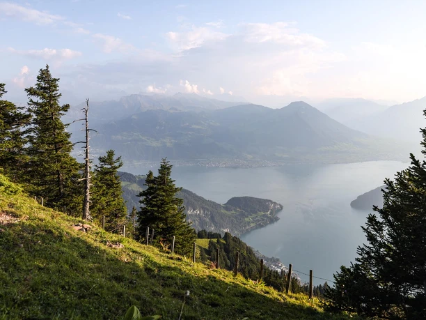 Wanderweg zum Rigi Dossen