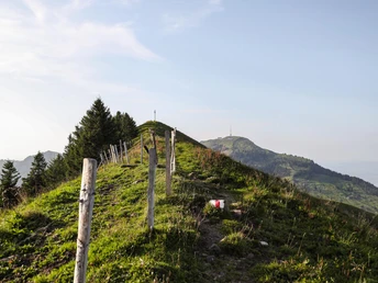 Kurz vor dem Gipfel des Rigi Dossen