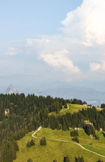 Aussicht während der Wanderweg zum Rigi Dossen