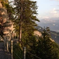 Rigi-Felsenweg bei Abendstimmung