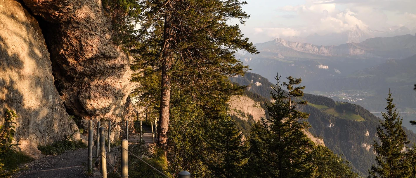 Rigi-Felsenweg bei Abendstimmung