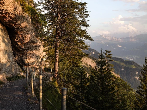 Rigi-Felsenweg bei Abendstimmung