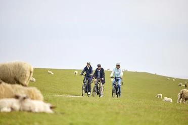 E-Bike-Tour am Sylter Deich