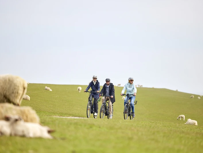 E-Bike-Tour am Sylter Deich