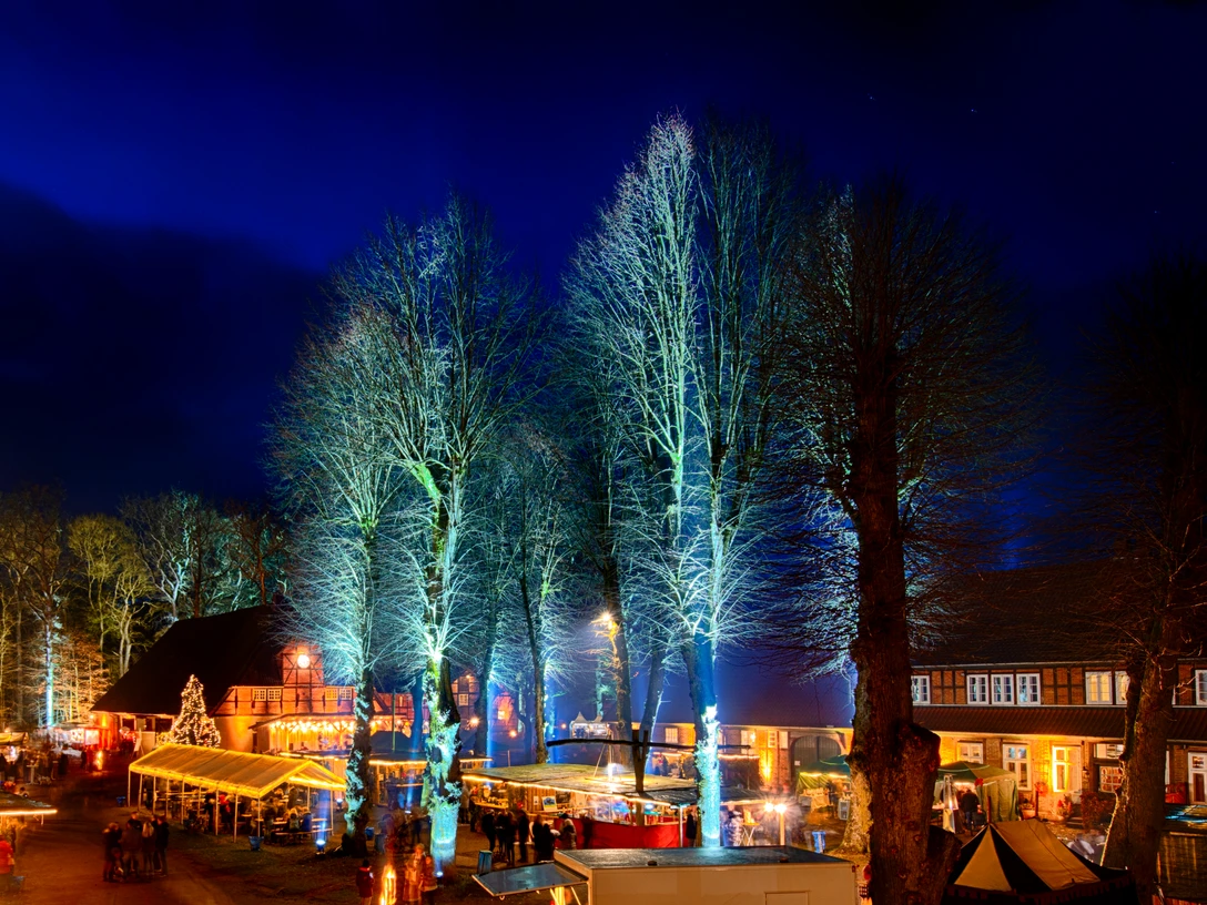 Adventsmarkt 2021 angestrahlt in lila.jpg