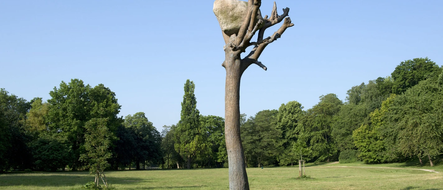 Penone-Baum.jpg