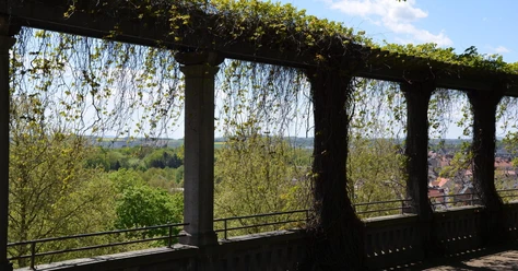 Weinbergterrassen.jpg