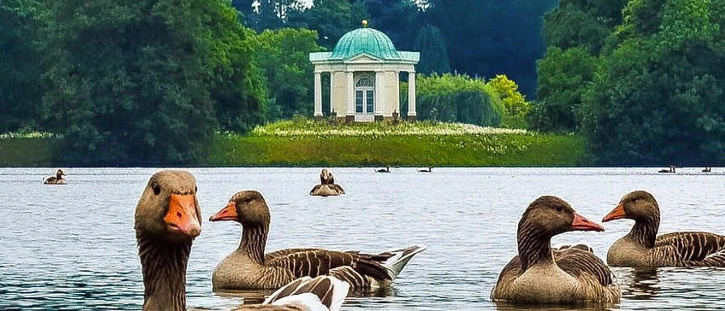 Schwaneninsel_conrad.jpg