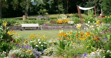 Symbolbild-Botanischer-Garten.JPG