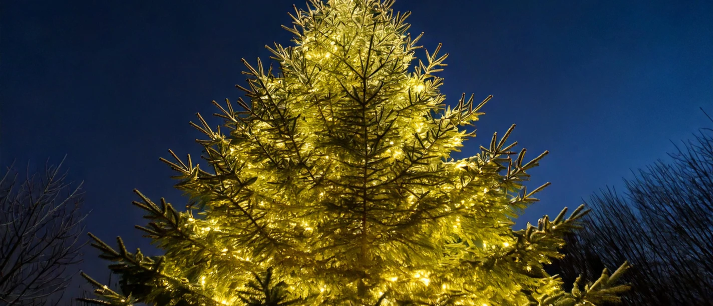 Firefly Nahaufnahme eines beleuchteten Weihnachtsbaums ohne Schmuck 31265.jpg Firefly Nahaufnahme eines beleuchteten Weihnachtsbaums ohne Schmuck 31265.jpg