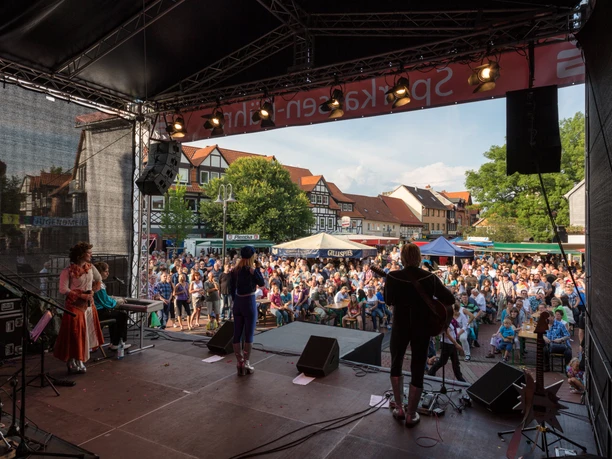 Altstadtfest 2014