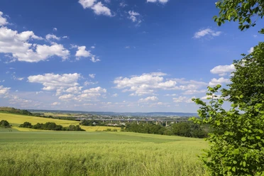 Tolle Landschaft in der Pellenz