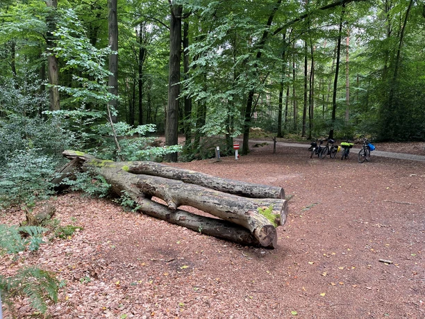 Furlbachtal.jpg Furlbachtal, Wald mit Fahrrädern